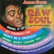 James Brown – James Brown Sings Raw Soul (1967) [iTunes Plus M4A]