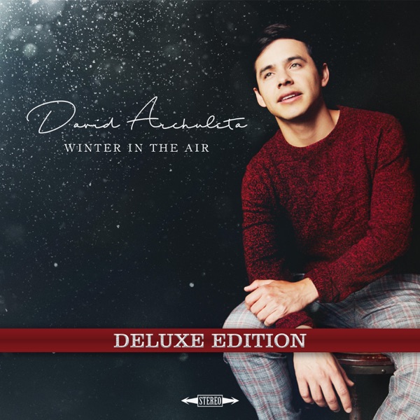 David Archuleta – Winter in the Air Deluxe [iTunes Plus M4A].jpg