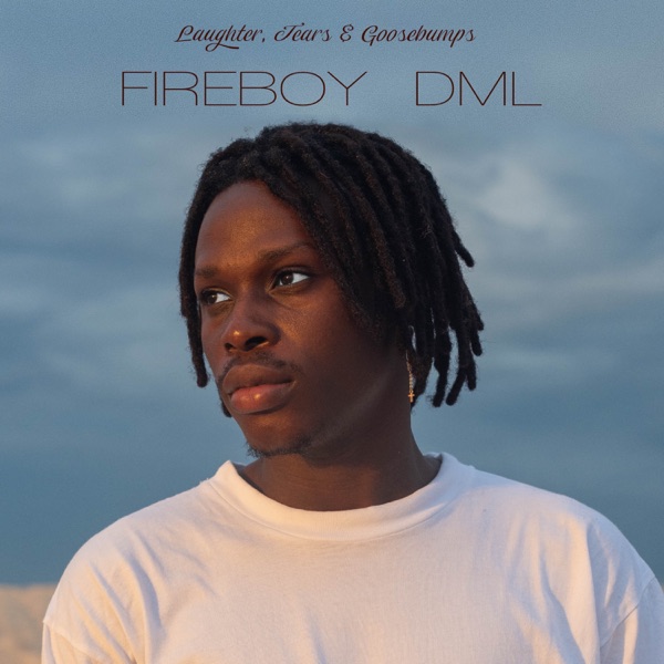 Fireboy DML – Laughter, Tears  Goosebumps [iTunes Plus M4A].jpg