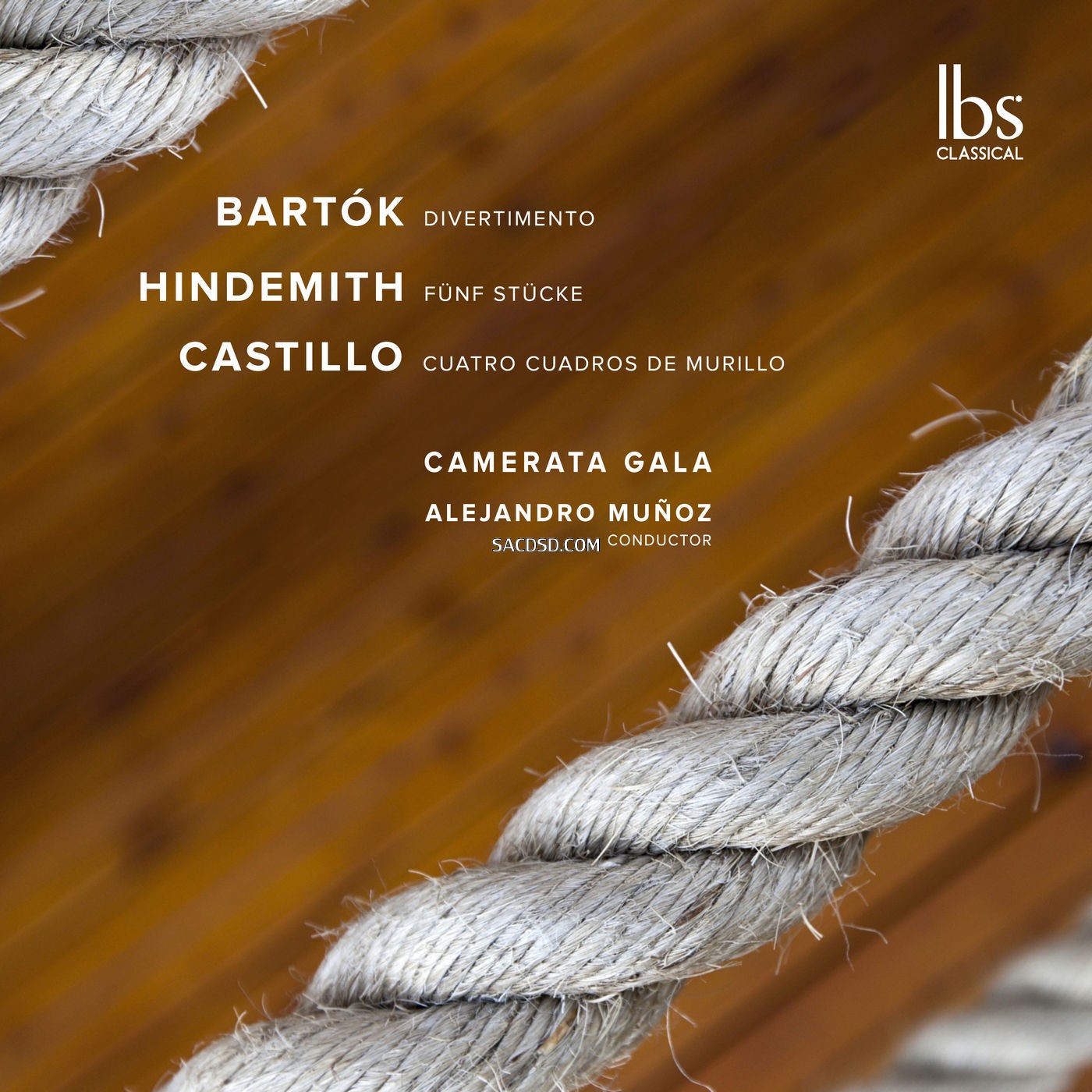 Camerata Gala, Alejandro Munoz - Bártok - Hindemith - Castillo String Works (2025).jpg